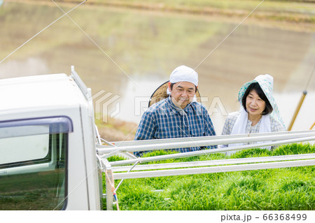 軽トラで運んできた田植え用の苗を確認する夫婦 軽トラで運んできた田植え用の苗を確認する夫婦 66368499