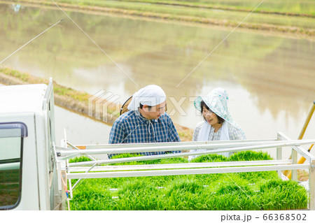 軽トラで運んできた田植え用の苗を確認する夫婦 軽トラで運んできた田植え用の苗を確認する夫婦 66368502