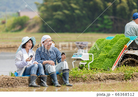 田植えの合間あぜ道で昼食をとる農家の夫婦 66368512