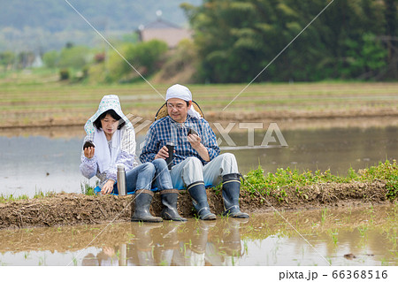田植えの合間あぜ道で昼食をとる農家の夫婦 66368516