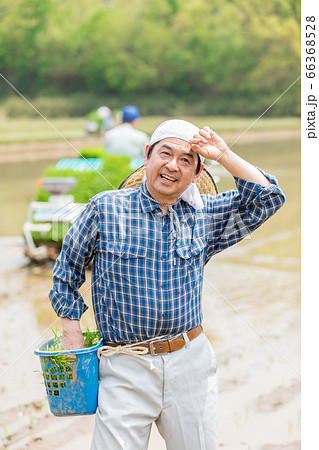 田植えをする男性 66368528