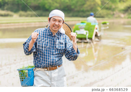 田植えをする男性 66368529