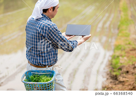 タブレットで管理するスマート農業（ソリューションイノベーター） 66368540