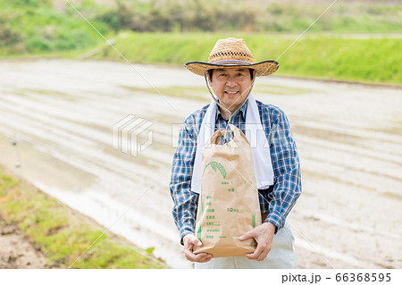 田植えと米収穫イメージ 66368595