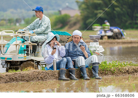 田植えの合間あぜ道で昼食をとる農家の夫婦 66368606