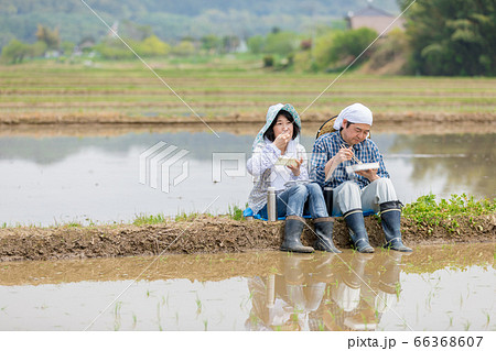 田植えの合間あぜ道で昼食をとる農家の夫婦 66368607