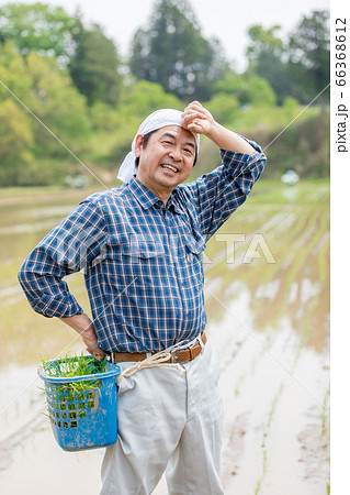 田植えをする男性 66368612