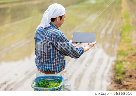 タブレットで管理するスマート農業(ソリューションイノベーター) タブレットで管理するスマート農業(ソリューションイノベーター) 66368616