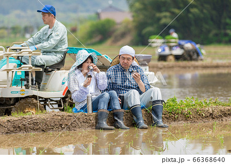 田植えの合間あぜ道で昼食をとる農家の夫婦 66368640