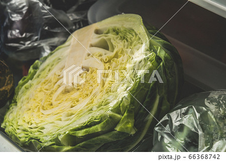 Image photo 66368742