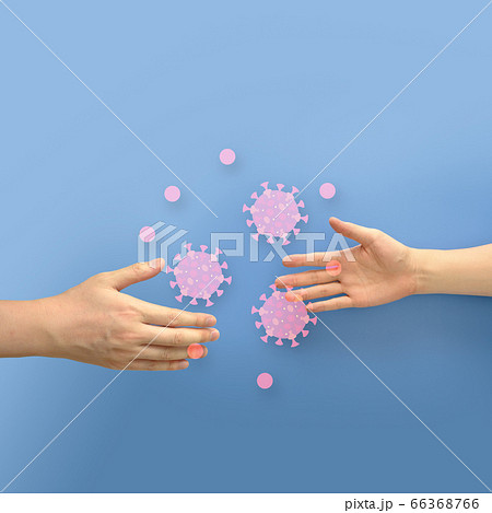 Image photo 66368766