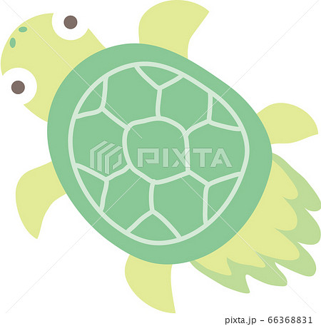 亀のイラスト素材