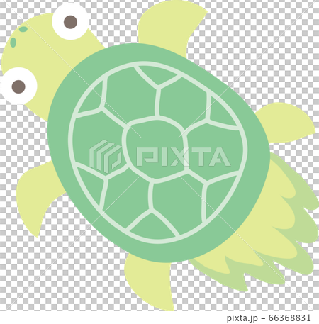 亀のイラスト素材