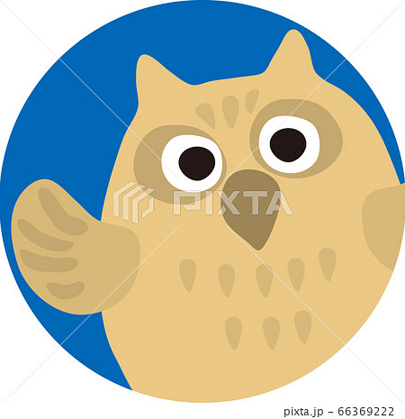 フクロウ 66369222