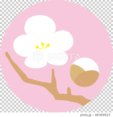 梅花圖標 梅花圖標 66369923