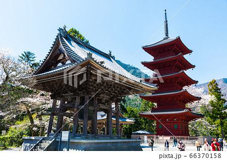 身延山久遠寺・大鐘楼と五重塔（山梨県南巨摩郡身延町）2020年3月春 66370158