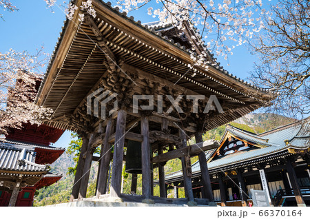 身延山久遠寺・大鐘楼と本堂（山梨県南巨摩郡身延町）2020年3月春 66370164