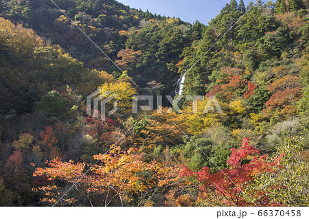 八代市泉町せんだん轟の滝 66370458