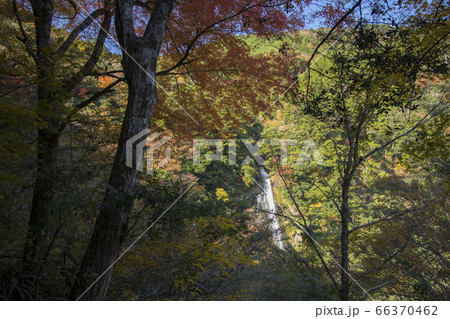 市泉町せんだん轟の滝 66370462