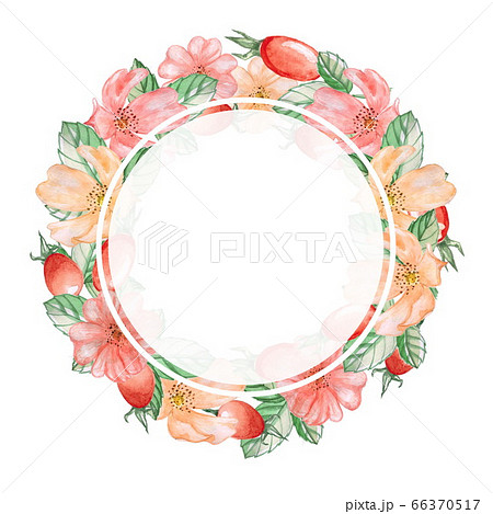 Round frame of flowers, and fruit of the wild rose. Watercolor illustration. Decorative element for greeting card, Invitation card. Round frame of flowers, and fruit of the wild rose. Watercolor illustration. Decorative element for greeting card, Invitation card. 66370517