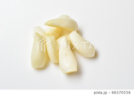 根と皮を取ったラッキョウ 66370556