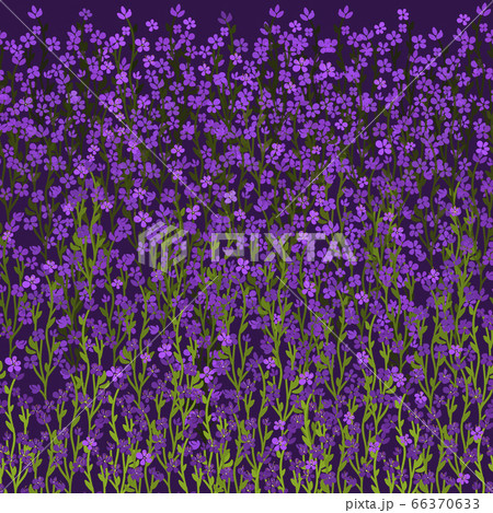 Meadow floral horizontal vector seamless pattern. Meadow floral horizontal vector seamless pattern. 66370633