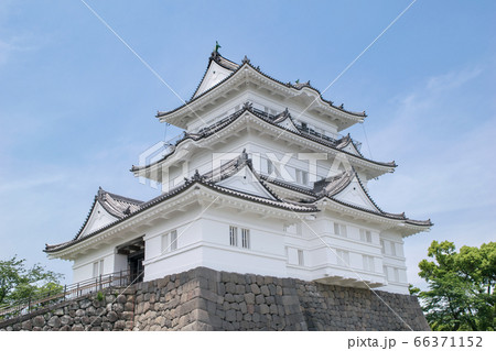 神奈川県　小田原城　天守 66371152