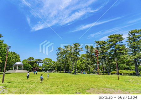 【神奈川県】新緑の綺麗な相模大野中央公園 【神奈川県】新緑の綺麗な相模大野中央公園 66371304