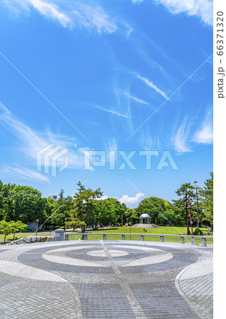 【神奈川県】新緑の綺麗な相模大野中央公園 66371320