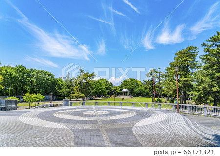 【神奈川県】新緑の綺麗な相模大野中央公園 66371321