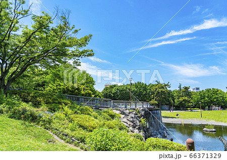 【神奈川県】新緑の綺麗な相模大野中央公園 66371329