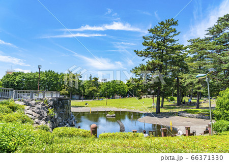 【神奈川県】新緑の綺麗な相模大野中央公園 【神奈川県】新緑の綺麗な相模大野中央公園 66371330