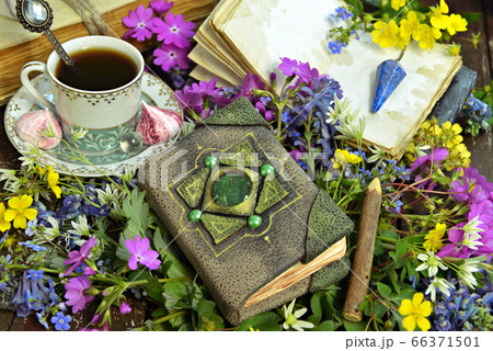 Still life with old diary, cup of coffee and wildflowers on green witch table. Vintage background with old book and flowers, romantic concept Still life with old diary, cup of coffee and wildflowers on green witch table. Vintage background with old book and flowers, romantic concept 66371501