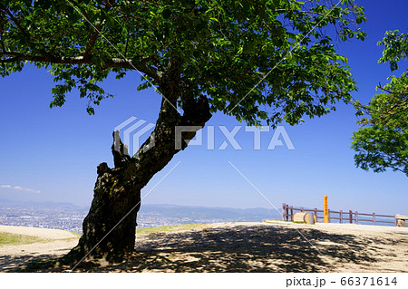 爽快・若草山山頂の眺望ー８ 66371614