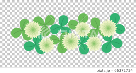 三葉草,白三葉草,白爪草的插圖 三葉草,白三葉草,白爪草的插圖 66371734