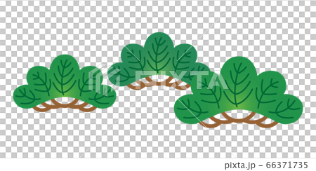 松 まつ マツ 植物 樹木 イラストのイラスト素材