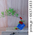 いけ花 66371833