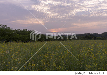 風景 自然 韓国 66372151