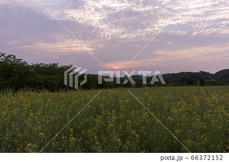 風景 自然 韓国 66372152