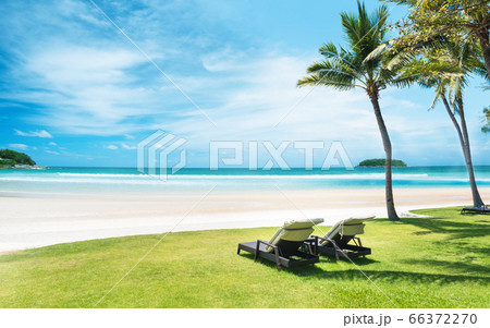 Beach chairs on green lawns 66372270