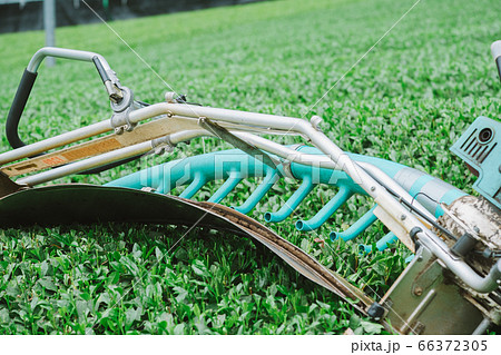 茶葉の収穫用機械 茶摘採機 バリカン 茶葉の収穫用機械 茶摘採機 バリカン 66372305