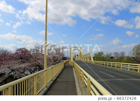桜の時期の珊瑚橋(岩手県北上市) 桜の時期の珊瑚橋(岩手県北上市) 66372426