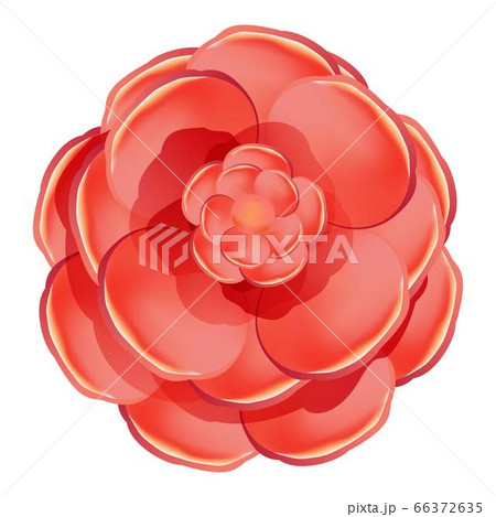 Red rose camellia icon, cartoon style Red rose camellia icon, cartoon style 66372635