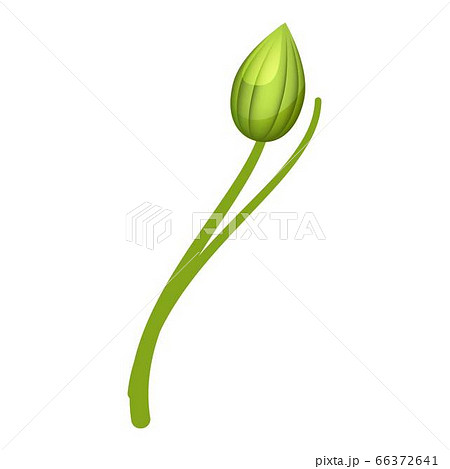 Camellia bulb green icon, cartoon style Camellia bulb green icon, cartoon style 66372641