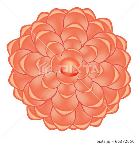 Spring red camellia icon, cartoon style Spring red camellia icon, cartoon style 66372656