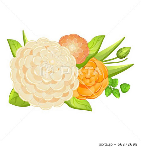 Wedding camellia bouquet icon, cartoon style 66372698