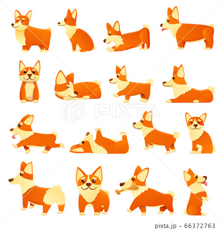 Corgi dogs icons set, cartoon style Corgi dogs icons set, cartoon style 66372763