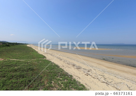 観音寺市の有明浜、砂浜と海浜植物の群落、伊吹島。 66373161