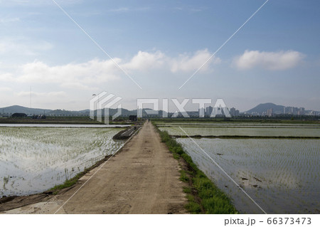 自然 風景 韓国 66373473