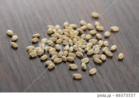 玄米 玄米 66373557